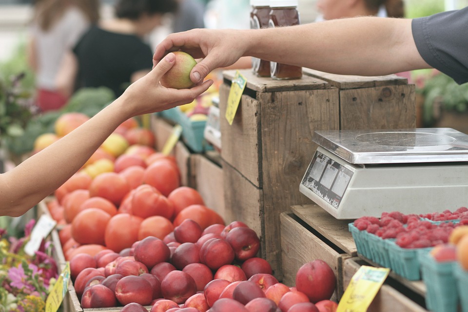 apples 1841132 960 720 - 6 Anzeichen einer wirtschaftlichen Erholung